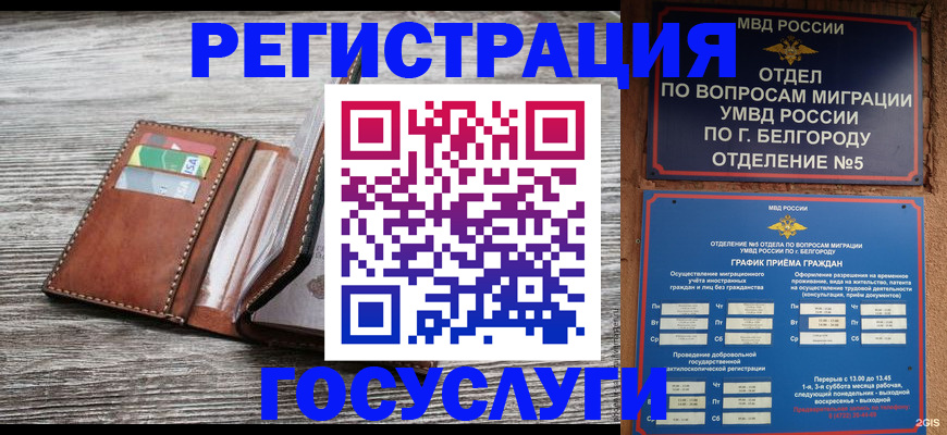 прописка 2025 в Кингисеппе